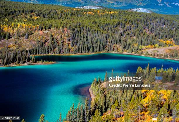 detail of emerald lake, yukon, canada - whitehorse imagens e fotografias de stock
