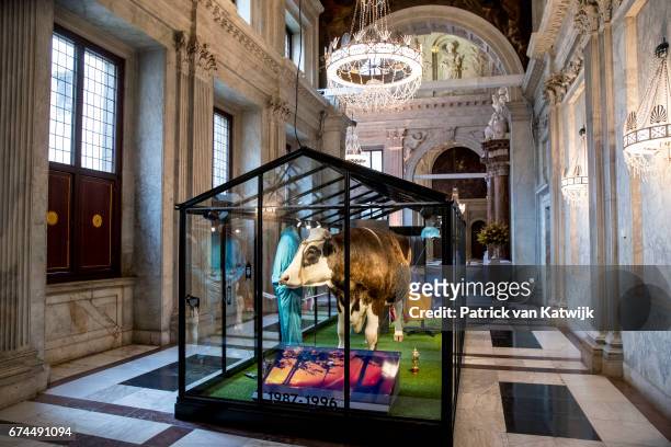 Model of cloned Bull Herman at the exhibition in the Royal Palace that gives an overview of 50 years Netherlands with a combination of objects of...