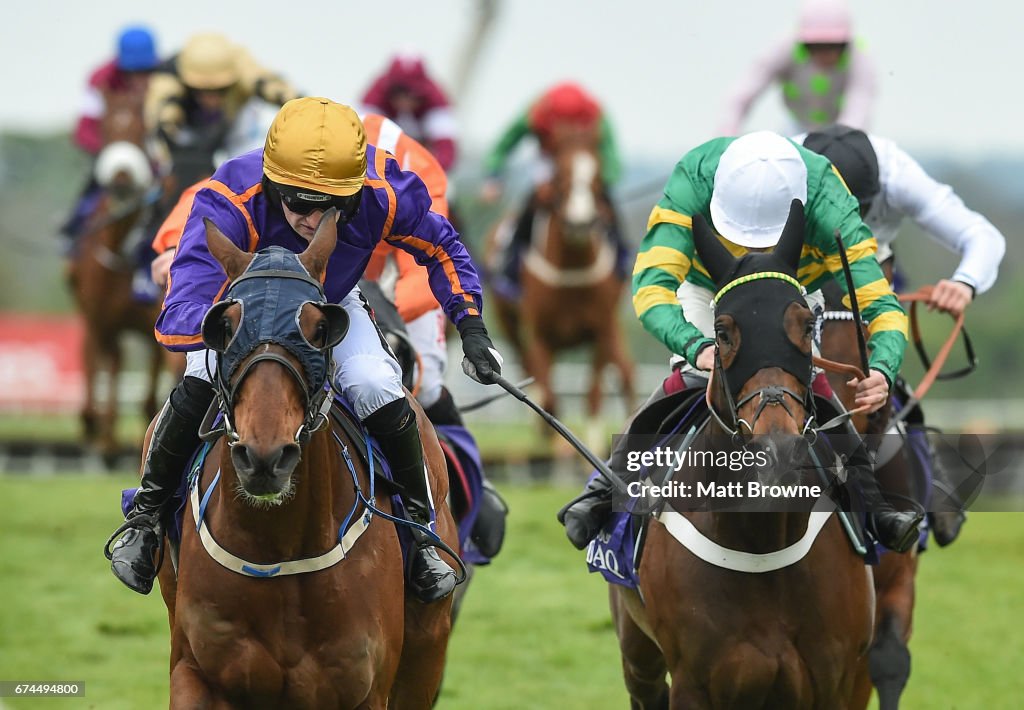 Punchestown Races - Day 4