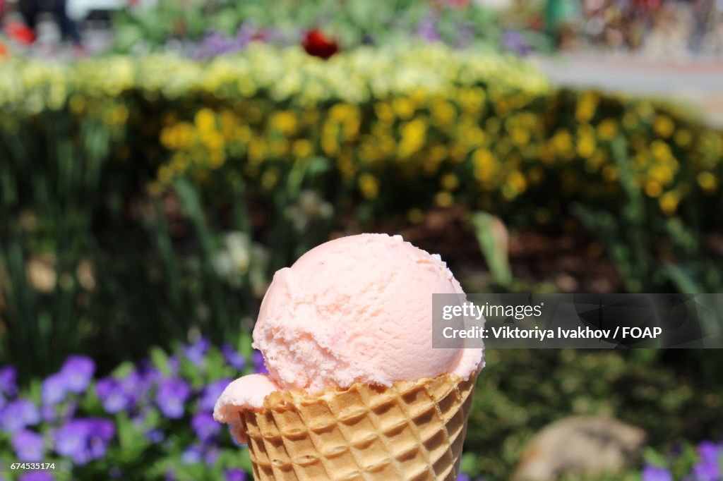 Close-up of strawberry ice cream