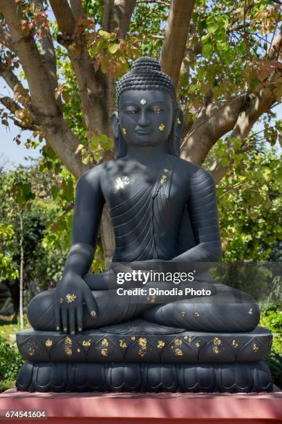 buddha statue, sarnath, uttar pradesh, india, asia - buda fotografías e imágenes de stock