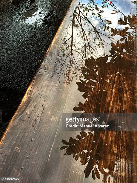 texture series: wood - berlín photos et images de collection