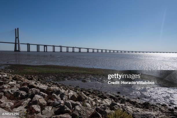 Vasco da Gama bridge seen from Parque das Nacoes, starting point of the 'Camino do Tejo' , a 139 km trail, from Lisbon to Fatima Sanctuary on April...