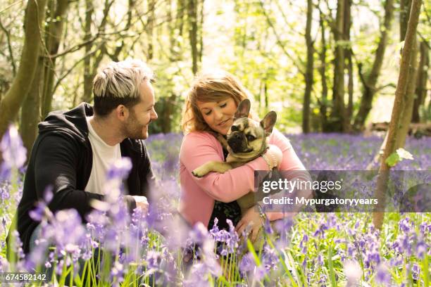 french bulldog with owners - harebell flowers stock pictures, royalty-free photos & images