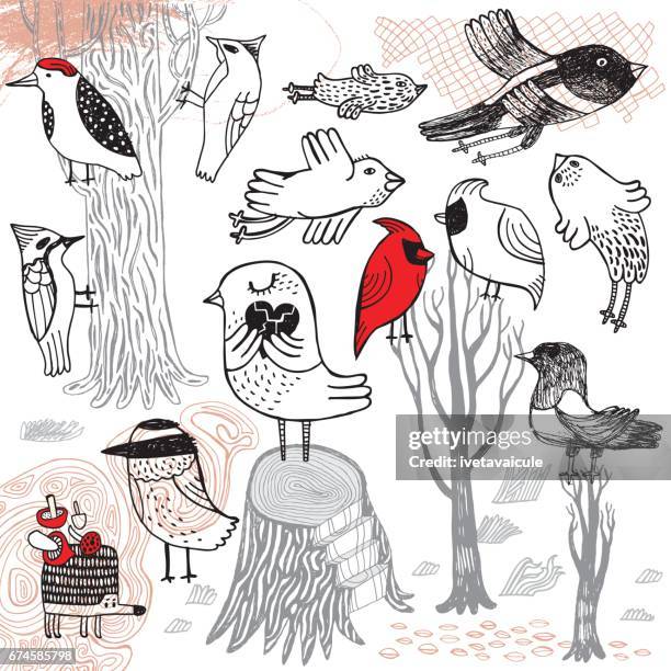 stockillustraties, clipart, cartoons en iconen met set van hand getekende vogels - ekster