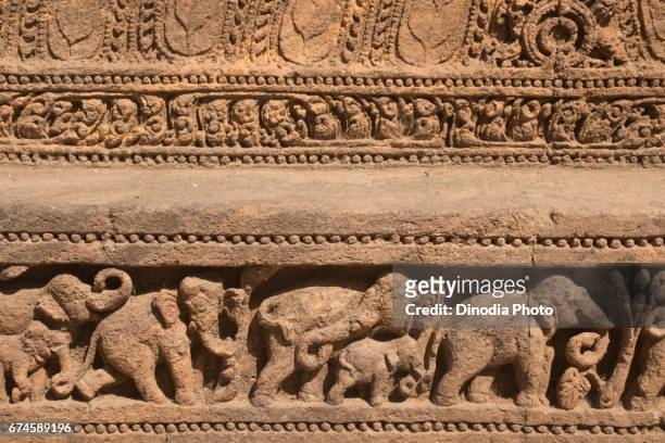 elephants sculpture on sun temple wall, konark, orissa, india, asia - konark temple foto e immagini stock