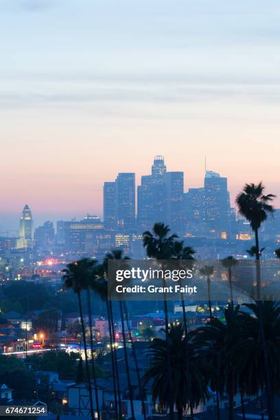 view of city. - la palm trees stock pictures, royalty-free photos & images