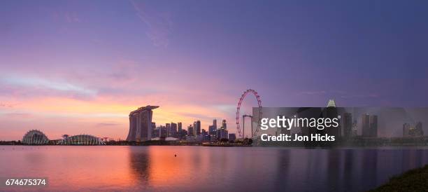 city skyline from gardens by the bay east, singapore. - singapore gardens stock-fotos und bilder
