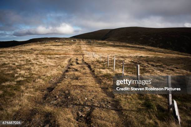 fence and path - perthshire stock pictures, royalty-free photos & images