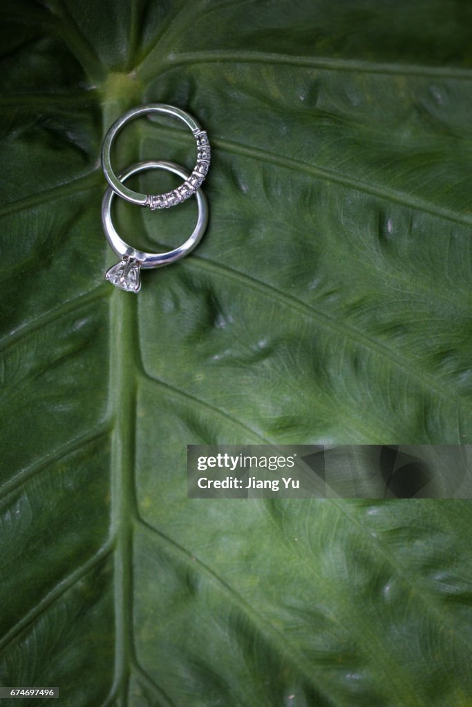 Wedding rings on green leaf