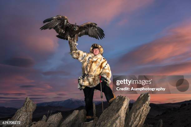 hunting flies majestic eagle from altai mountain peak. - altai mountains ストックフォトと画像