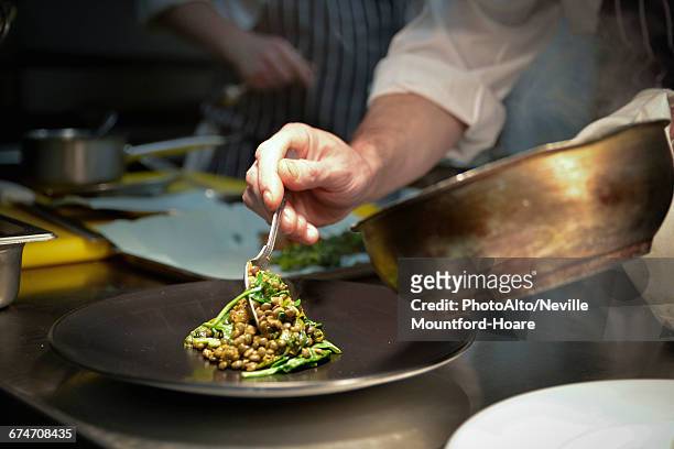 chef spooning lentil dish onto serving plate - edinburgh scotland stock pictures, royalty-free photos & images