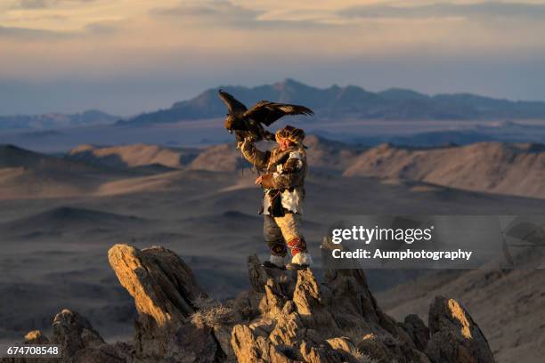 kazakh golden eagle hunter on altai mountains, mongolia - altai mountains ストックフォトと画像