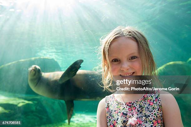 little girl at aquarium, portrait - missouri seal stock pictures, royalty-free photos & images