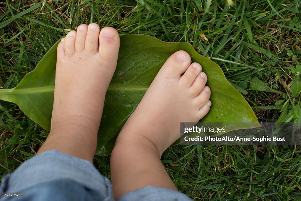 Childs bare feet standing on leaf
