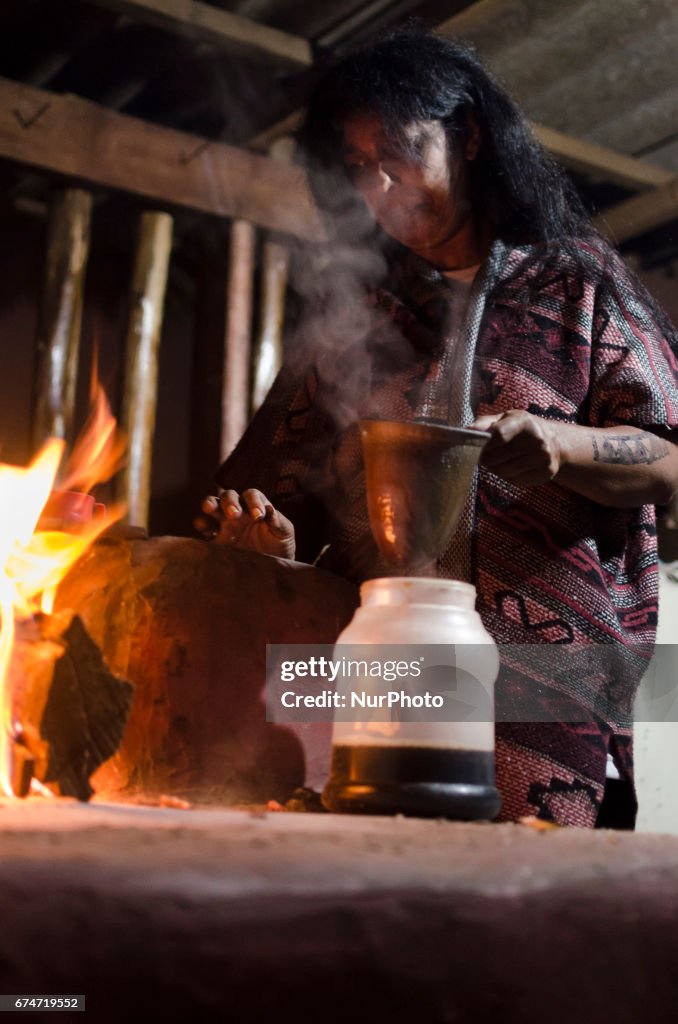 General Strike Brazil - Indigenous Protest