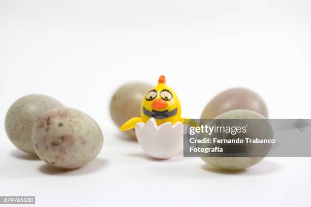 angry and muted doll bird get out of the egg, animal birth - scary chicken bildbanksfoton och bilder