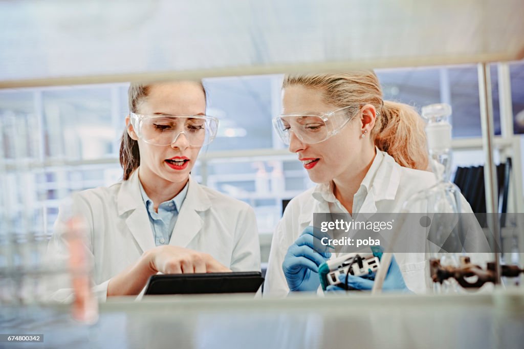 Scientists Working in the Laboratory