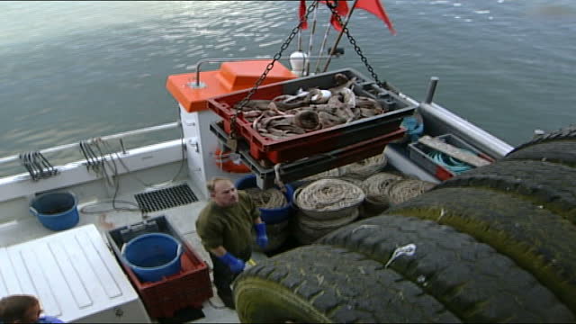 Fish Loading Loading Fish Videos and HD Footage - Getty Images