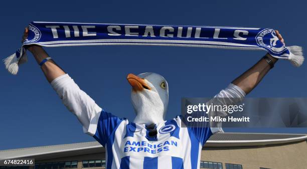 Brighton fan wears a seagull mask prior to the Sky Bet Championship match between Brighton & Hove Albion and Bristol City at Amex Stadium on April...