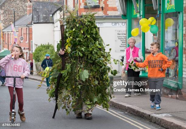 Man dressed in a tree foilage costume makes his way through the streets to attend the Green Man Spring Festival on April 29, 2017 in Bovey Tracey,...