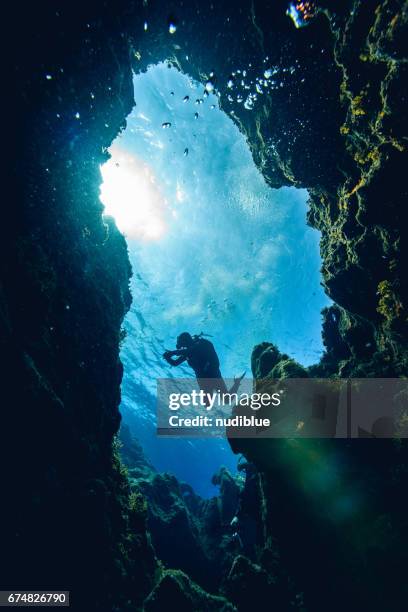 deep blue the mediterranean - malta diving stock pictures, royalty-free photos & images