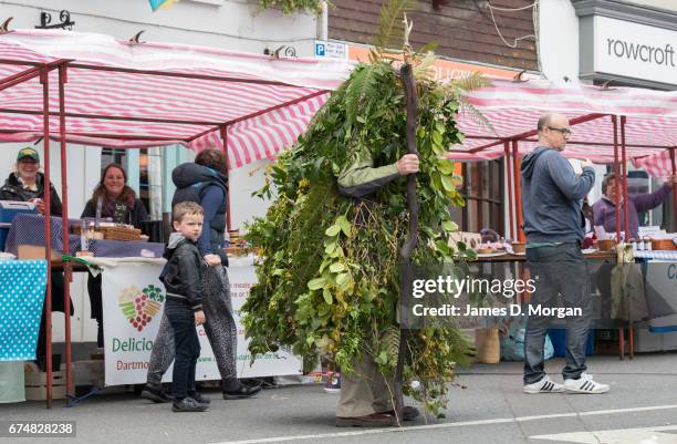 Man dressed in a tree foilage costume attends the Green Man Spring Festival on April 29, 2017 in Bovey Tracey, England. Dozens of morris dancers were...