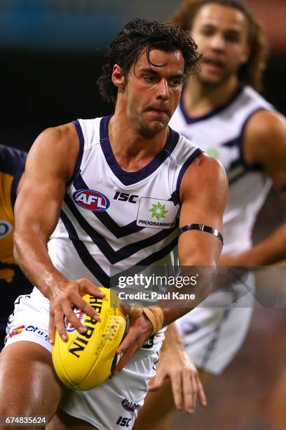 Brady Grey of the Dockers looks to pass the ball during the round six AFL match between the West Coast Eagles and the Fremantle Dockers at Domain...