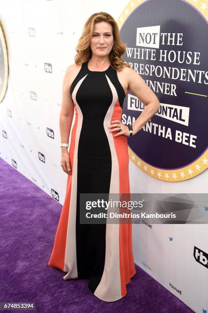 Ana Gasteyer attends Full Frontal With Samantha Bee's Not The White House Correspondents' Dinner at DAR Constitution Hall on April 29, 2017 in...