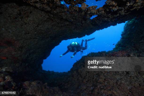 deep blue the mediterranean - malta diving stock pictures, royalty-free photos & images