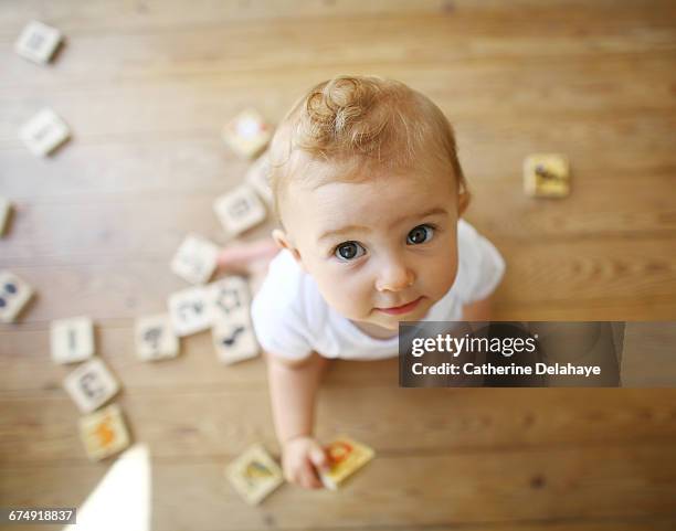 a 9 months old baby playing - baby blocks stock pictures, royalty-free photos & images