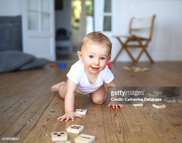 a 9 months old baby walking with 4 legs - crawling stock-fotos und bilder