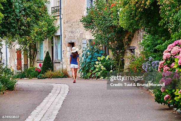 france, indre-et-loire, chedigny - french garden stock pictures, royalty-free photos & images