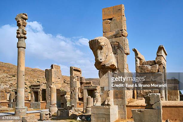 iran, fras, persepolis - persepolis stock pictures, royalty-free photos & images
