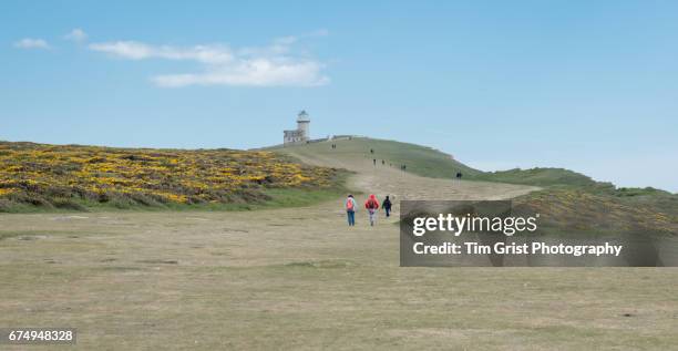 hikers at belle tout lighthouse at beachy head - lighthouse rolling landscape foto e immagini stock