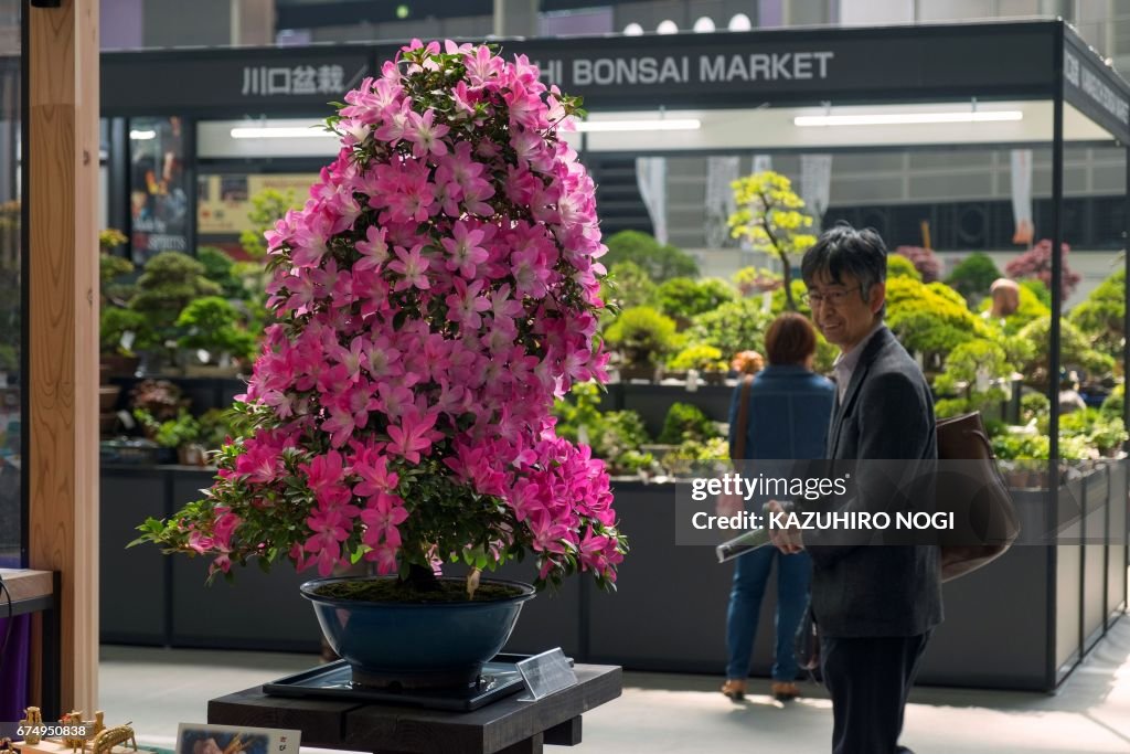 JAPAN-BONSAI-CONVENTION