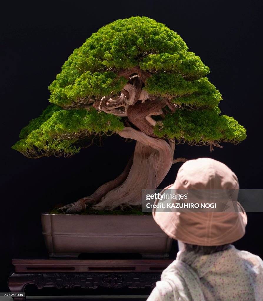 JAPAN-BONSAI-CONVENTION