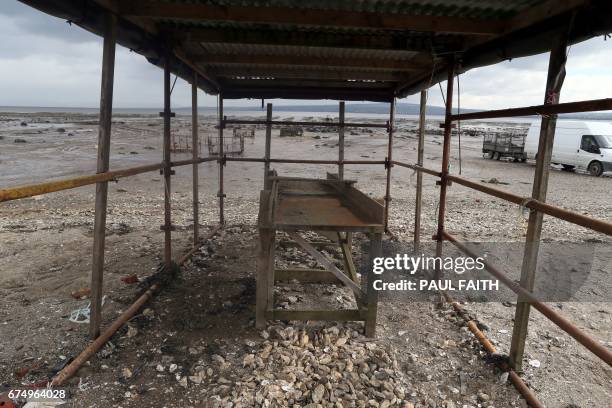In this photograph taken on April 26 discarded oysters are pictured on an oyster farm at Ture in Co Donegal on Lough Foyle, on the border with...