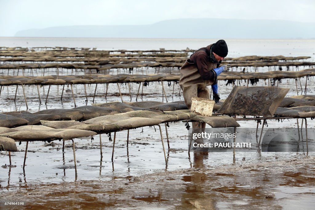 BRITAIN-EU-POLITICS-BREXIT-IRELAND-FISHING