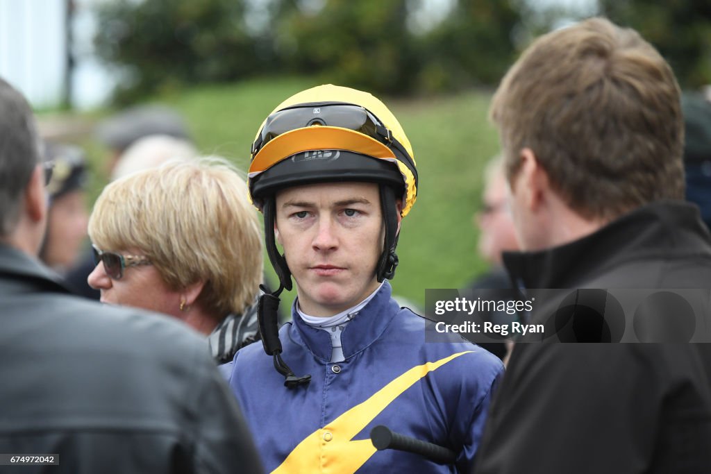 Wayne Freedman Maiden Plate