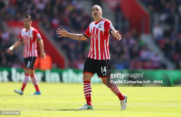 Oriol Romeu of Southampton during the Premier League match between Southampton and Hull City at St Mary's Stadium on April 29, 2017 in Southampton,...