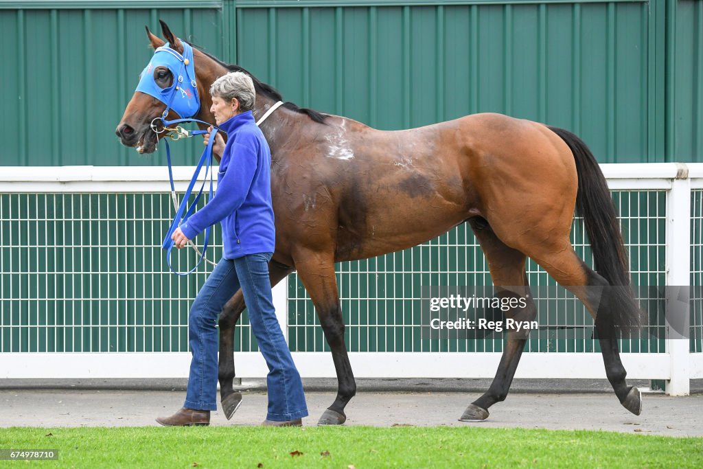 Mark West Foundation 3YO Maiden Plate