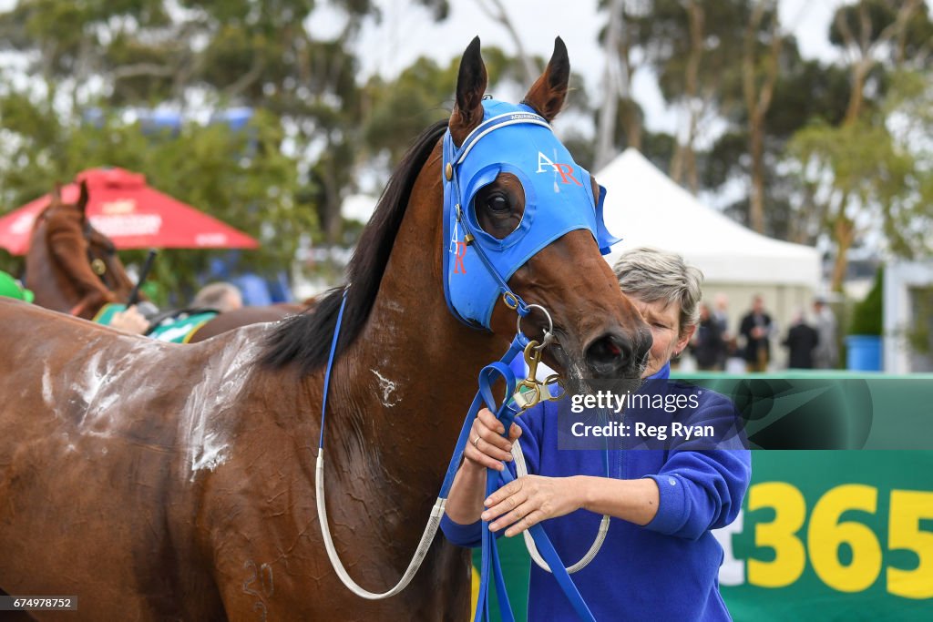 Mark West Foundation 3YO Maiden Plate