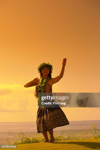 hawaiian hula-tänzer tanzen am strand - frangipane stock-fotos und bilder