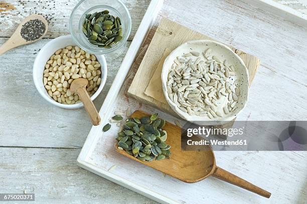 various seeds - pumpkin seed stock pictures, royalty-free photos & images