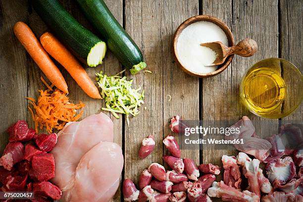 species-appropriate cat food - cibo per cani foto e immagini stock