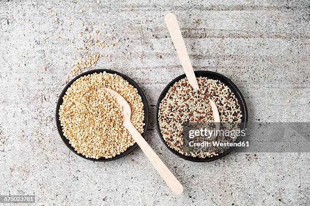 wholemeal quinoa and popped quinoa in bowls, wooden spoons - quinoa stock-fotos und bilder