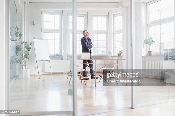mature businessman standing in bright office - person standing far stock pictures, royalty-free photos & images