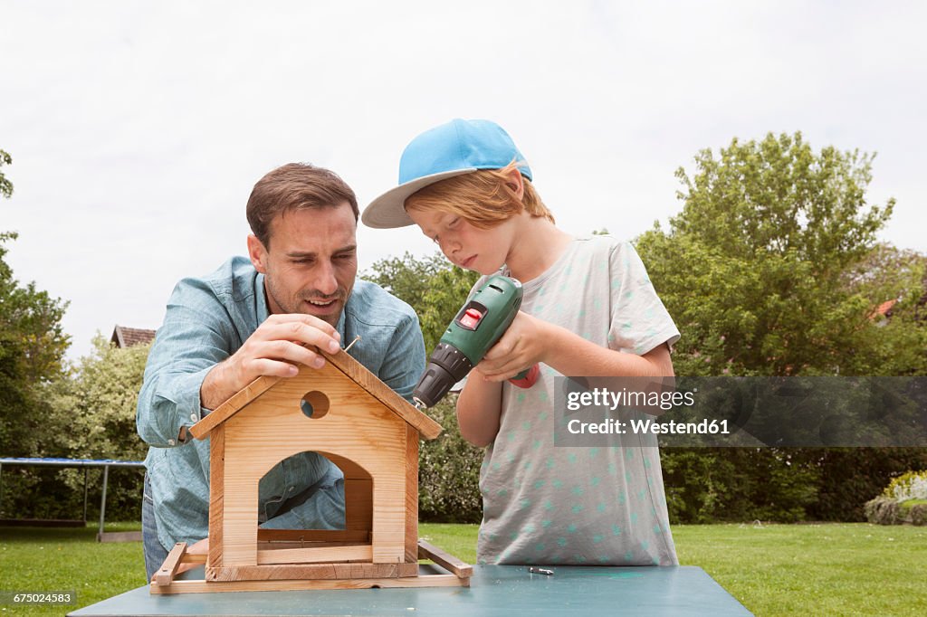 Father and son building up a birdhouse