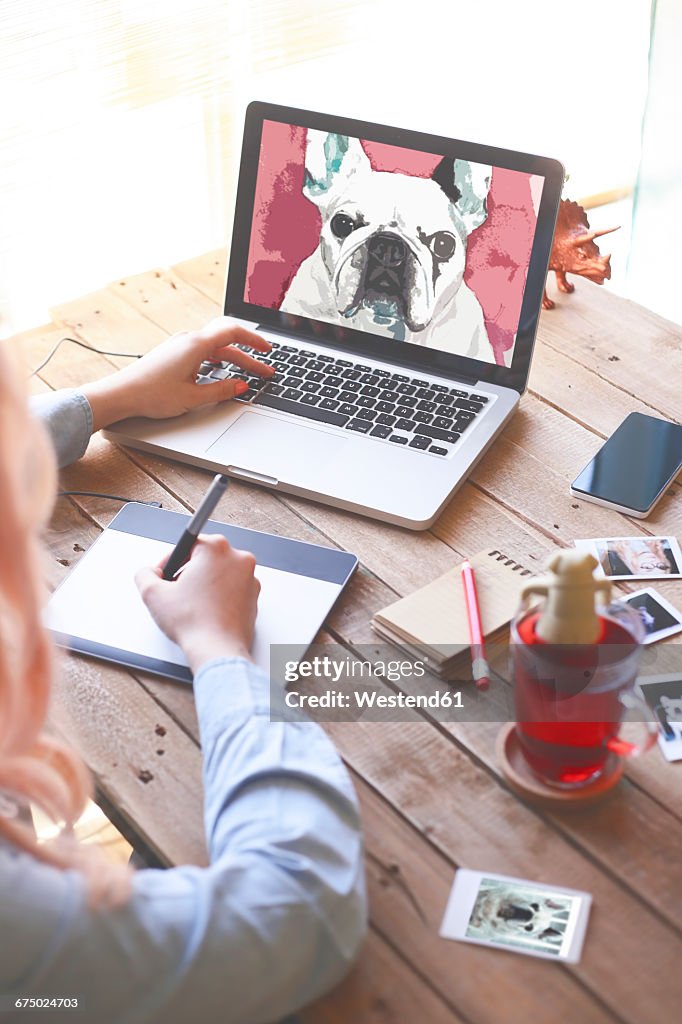 Illustrator drawing a French bulldog with a graphics tablet